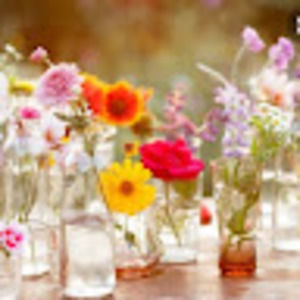 Meet your Posher, Rose